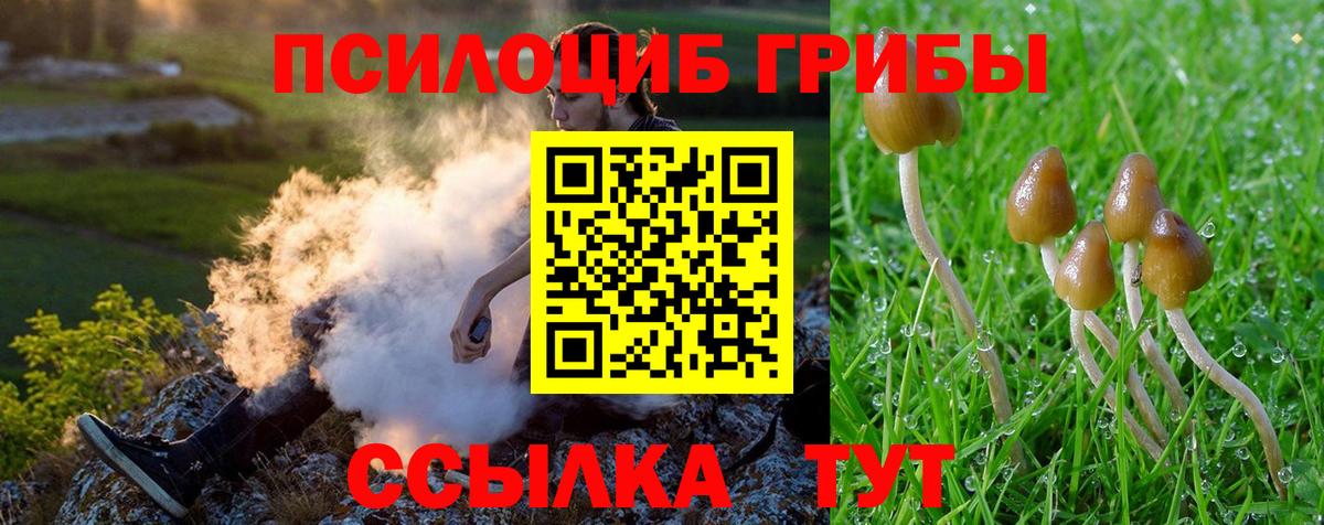Сланцы  Галлюциногенные грибы Cubensis  Вход с VPN 