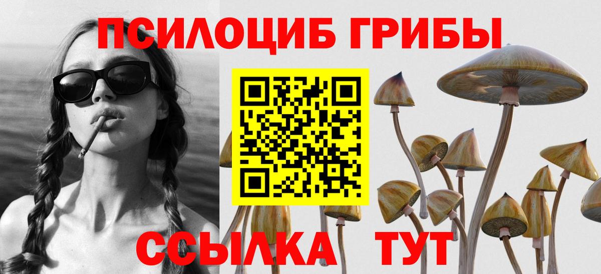 Галлюциногенные грибы Cubensis Сланцы